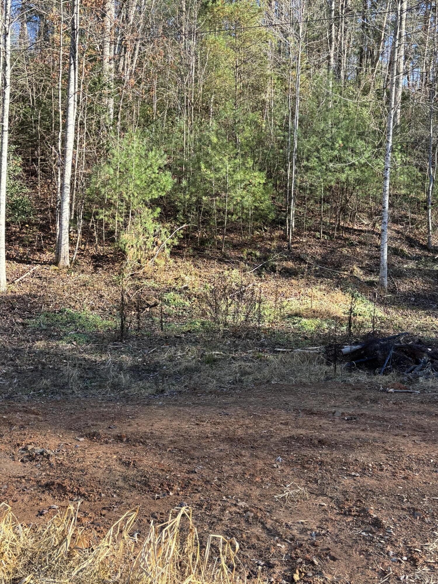 476 Appalachia Dam Road