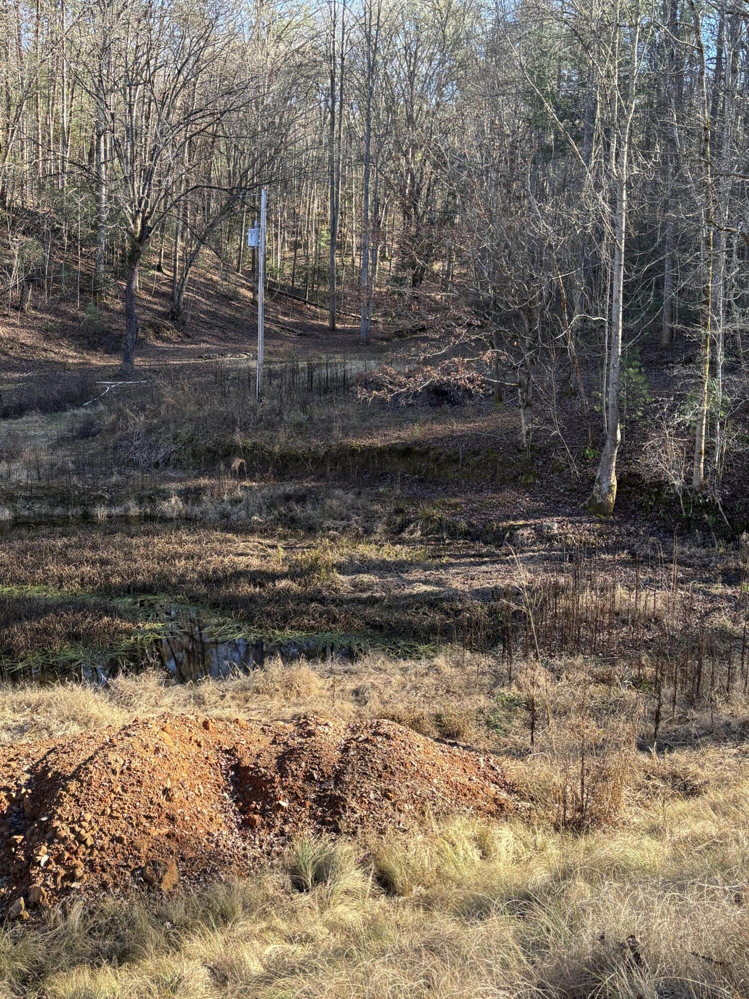 476 Appalachia Dam Road