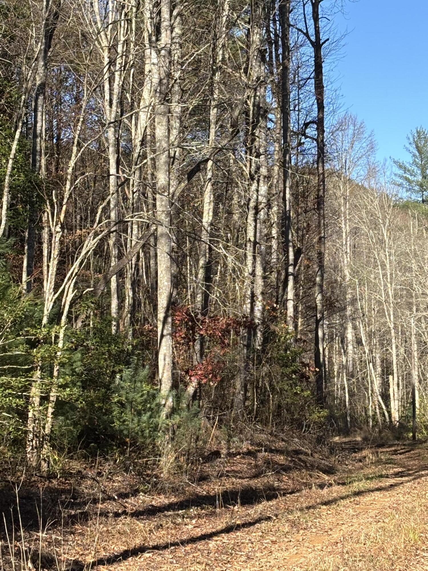 476 Appalachia Dam Road