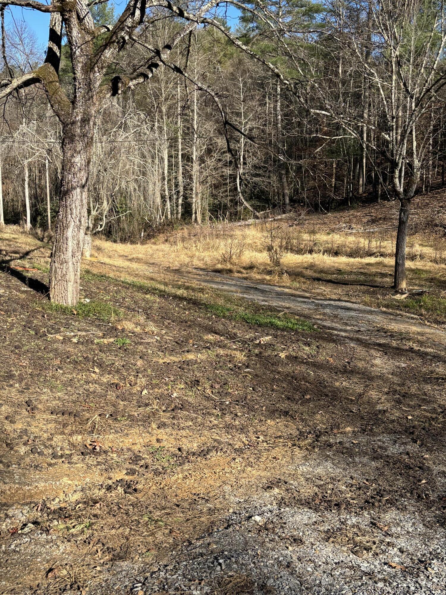 476 Appalachia Dam Road