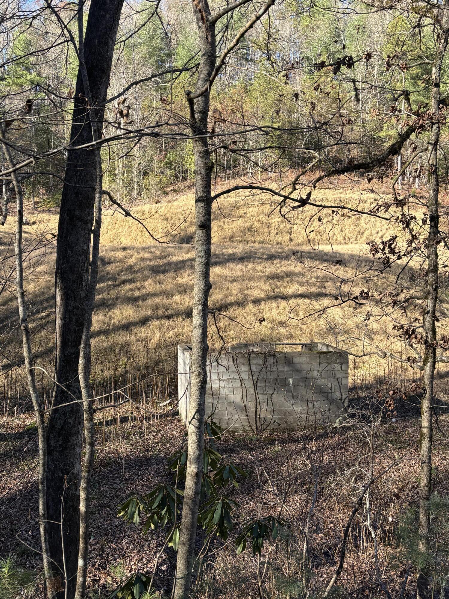 476 Appalachia Dam Road