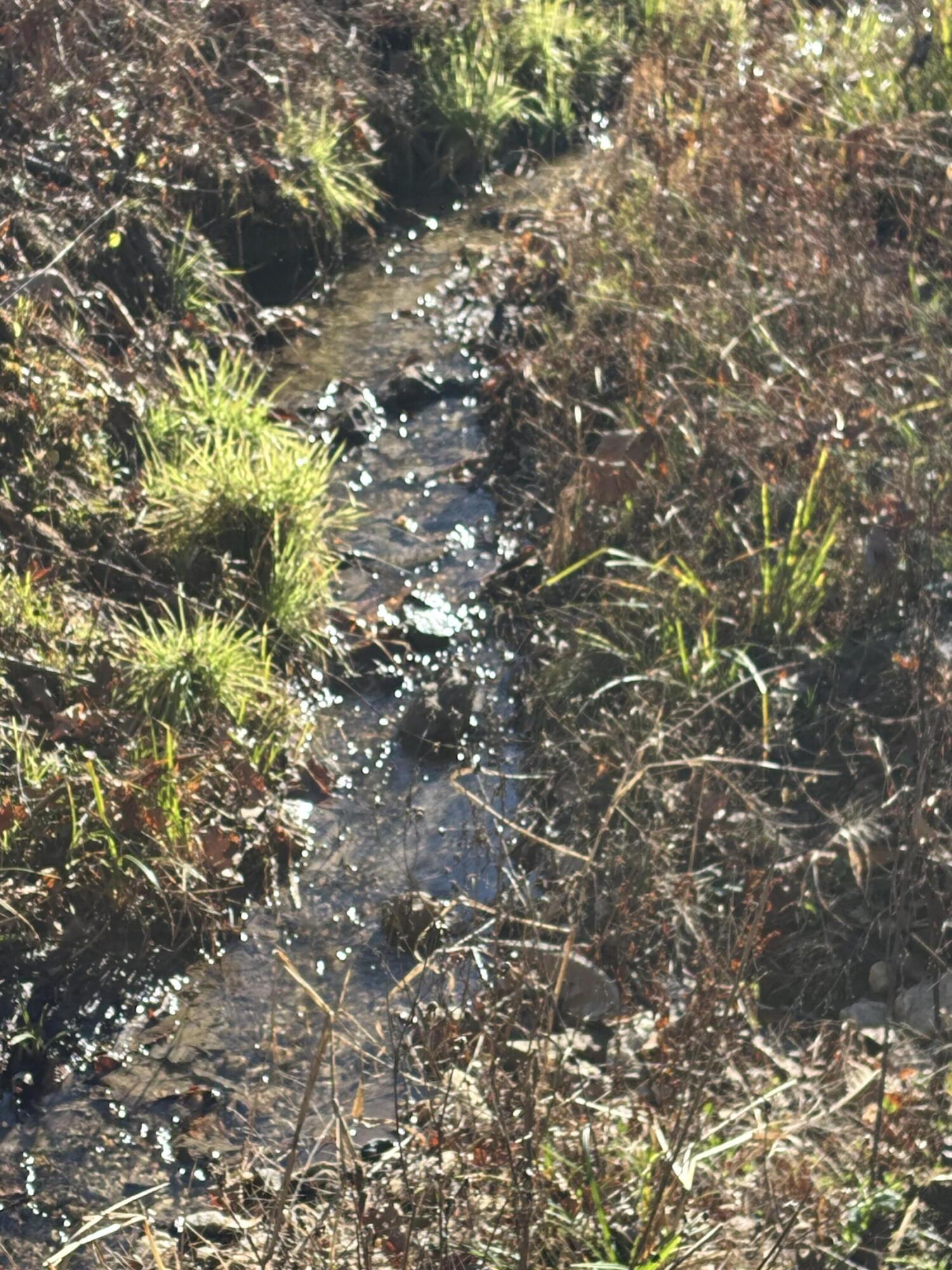 476 Appalachia Dam Road