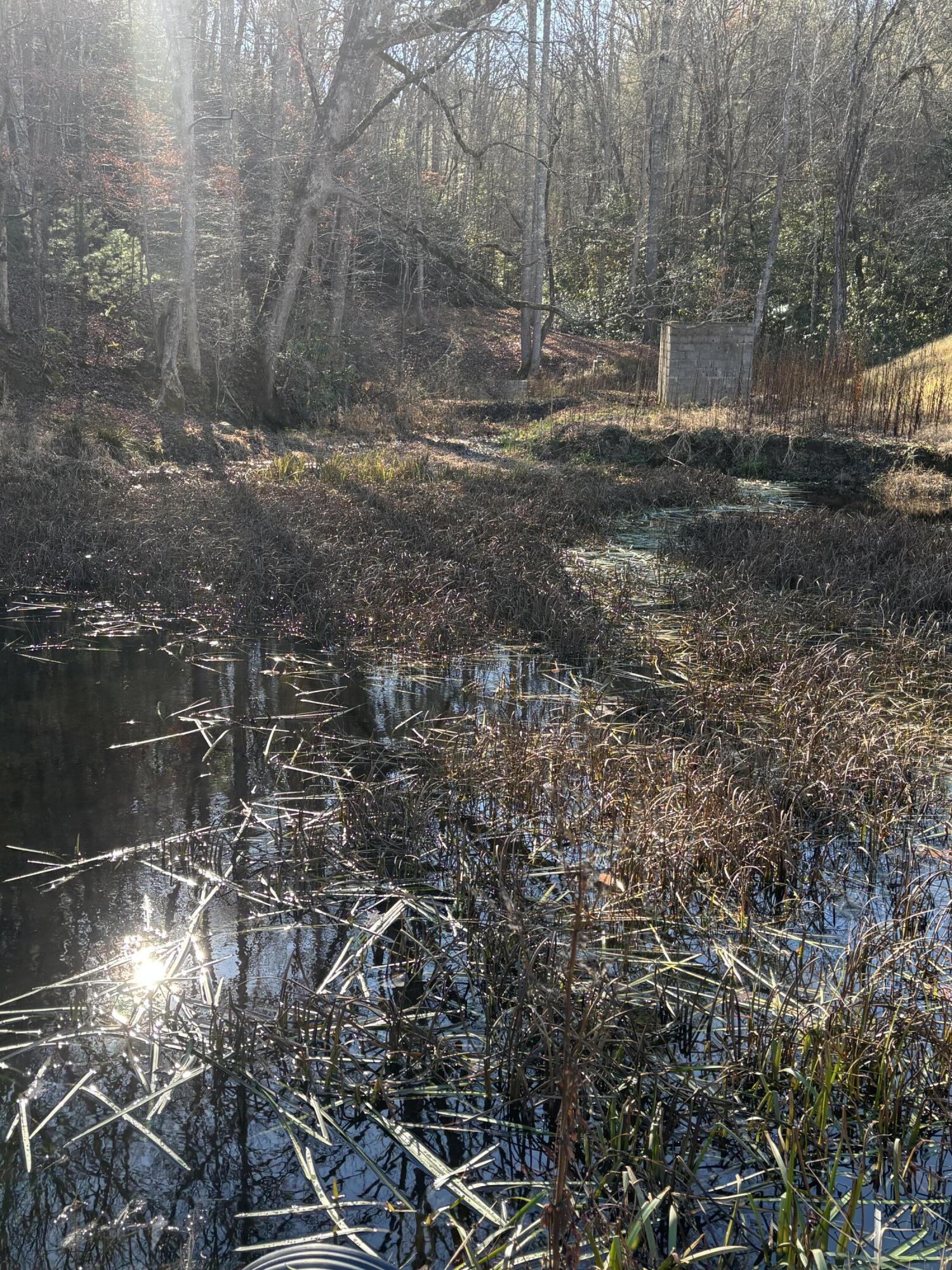 476 Appalachia Dam Road