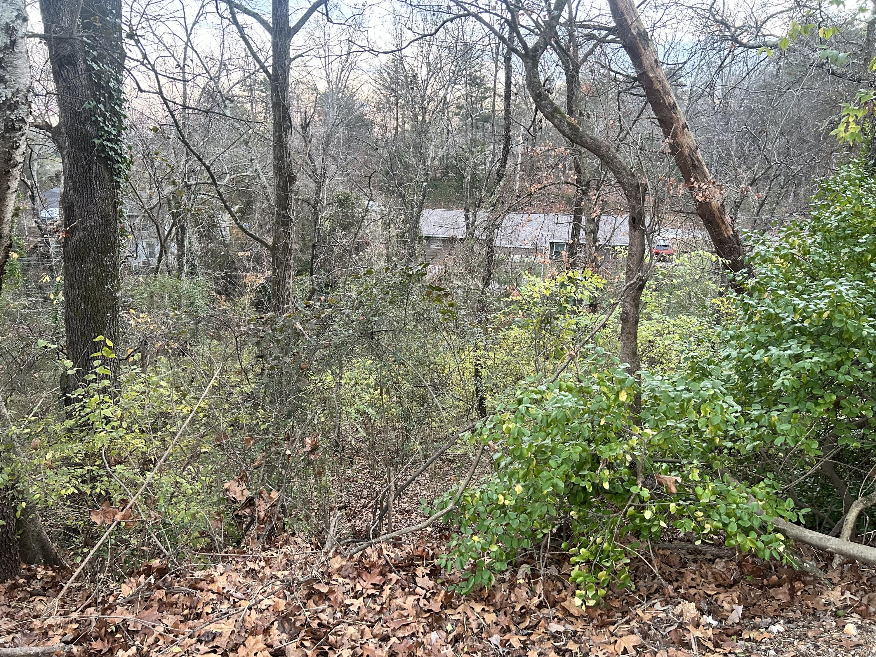 0 Mountain Wood Lane
