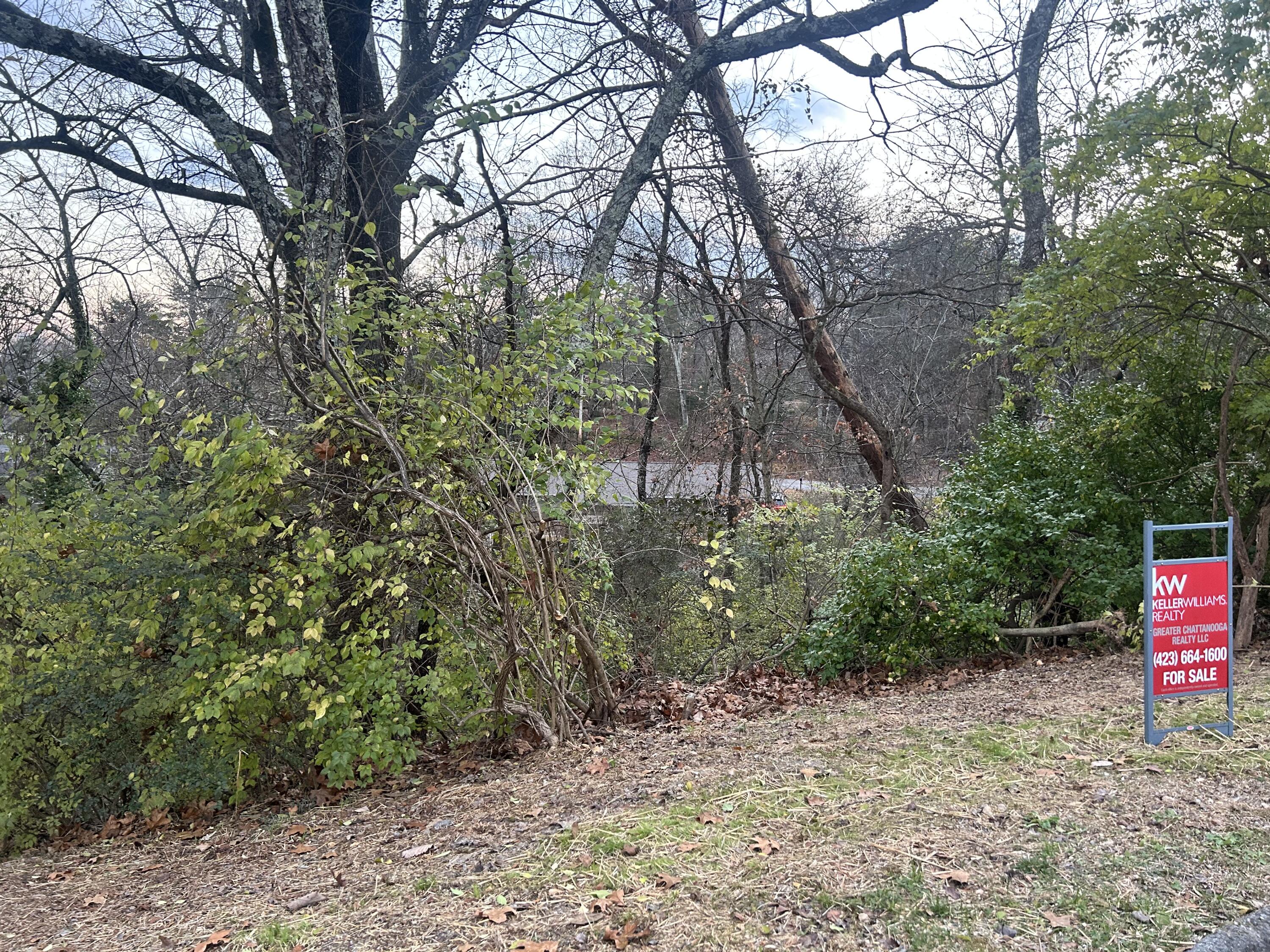 0 Mountain Wood Lane