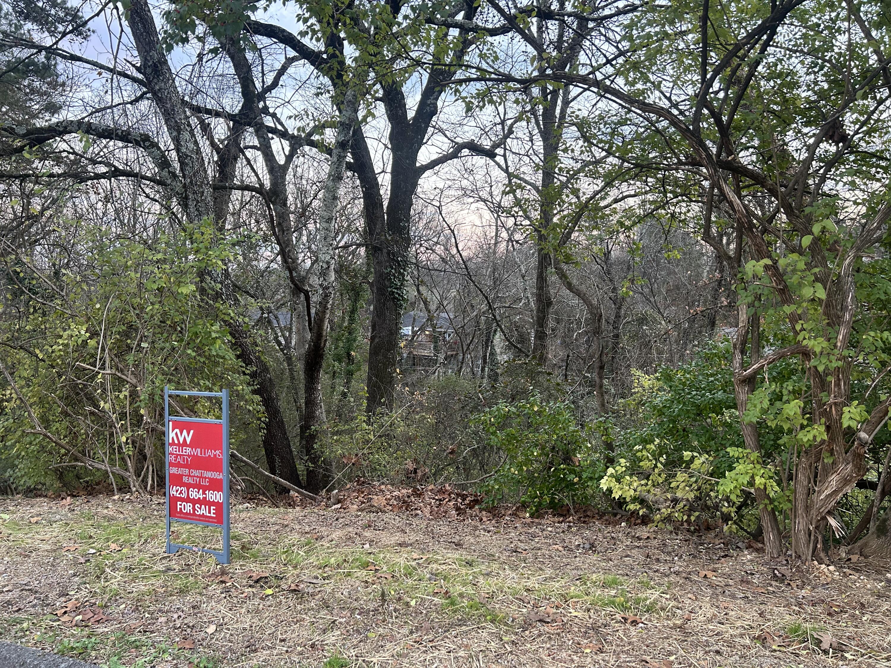 0 Mountain Wood Lane