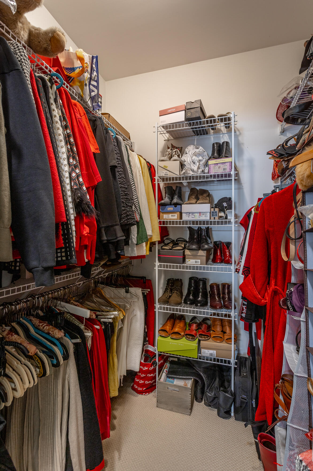 2709 Stone Trace Drive