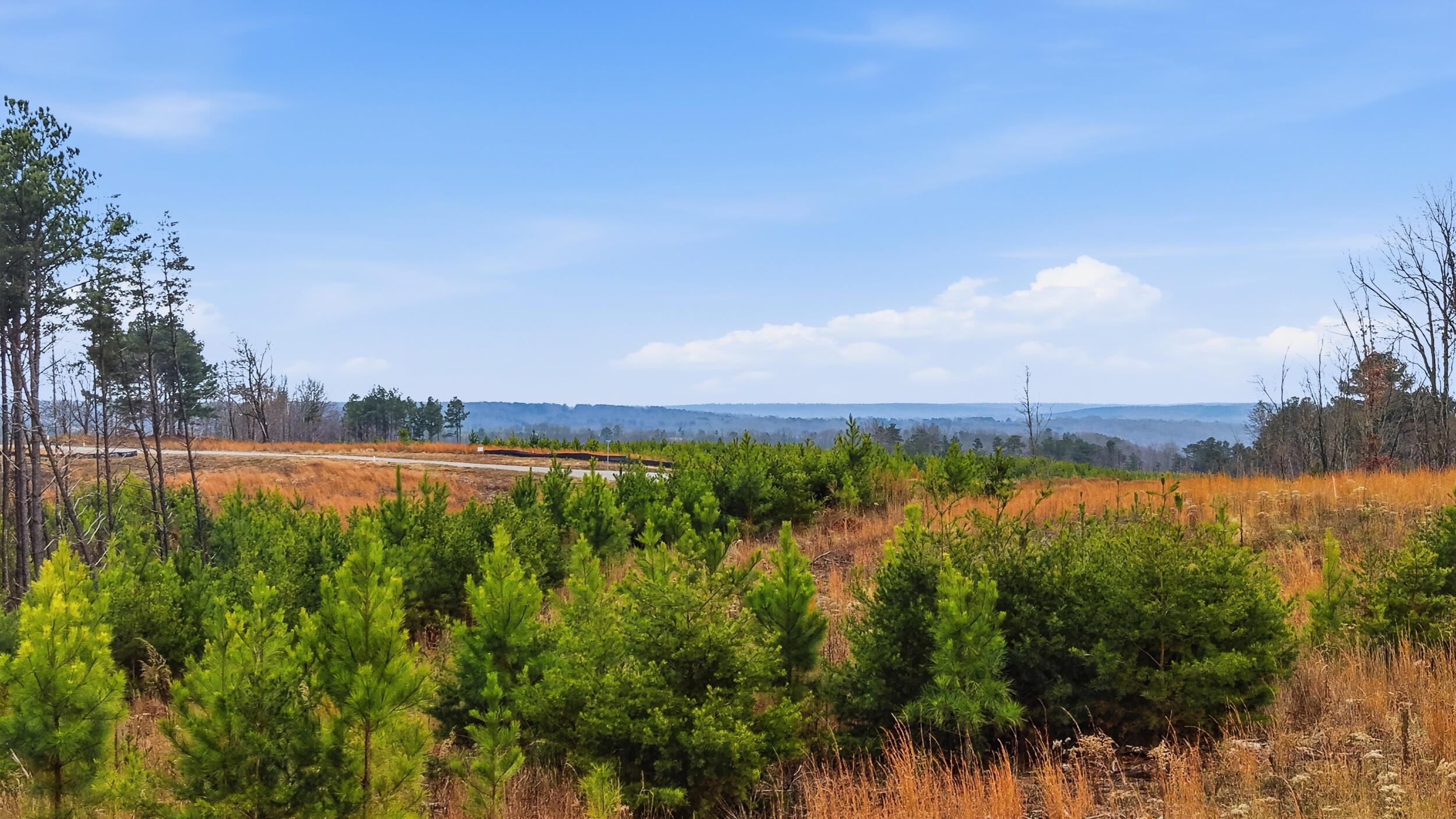 Lot 6 Longview Ridge