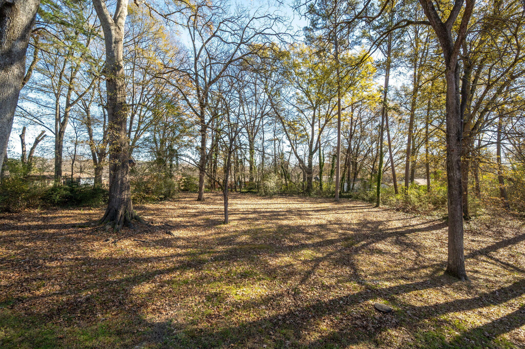 4212 Autumn Lane