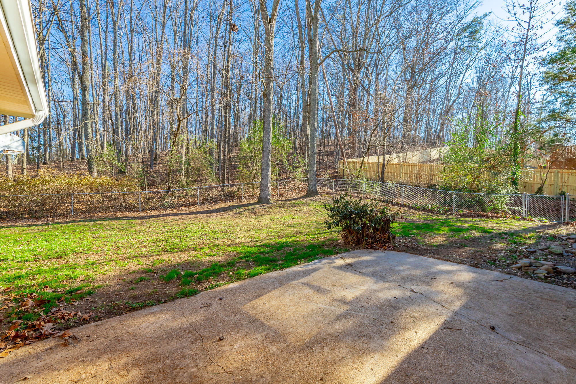 2500 Shenandoah Drive