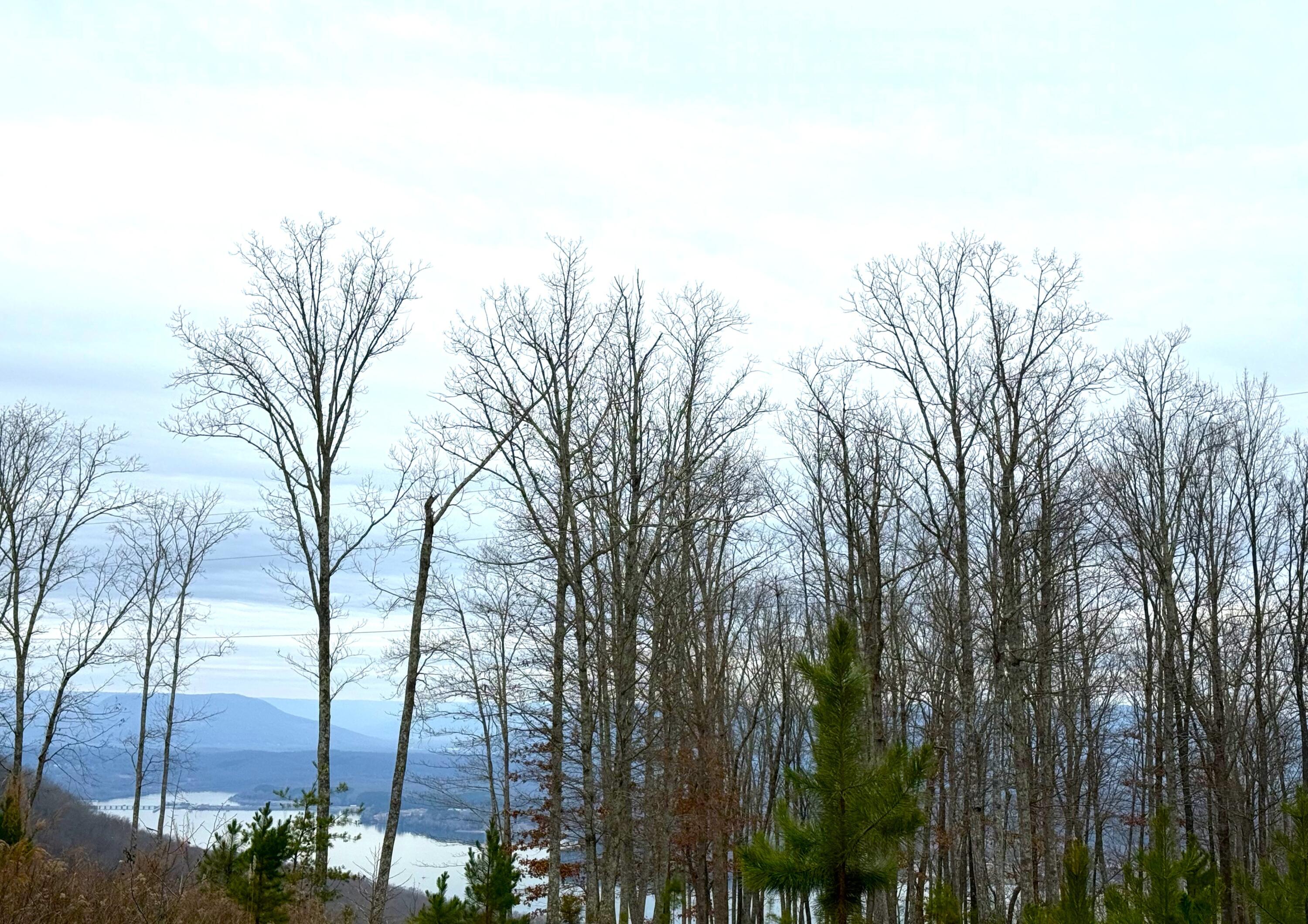 0 Wohalie Lane, Lots 45/45a