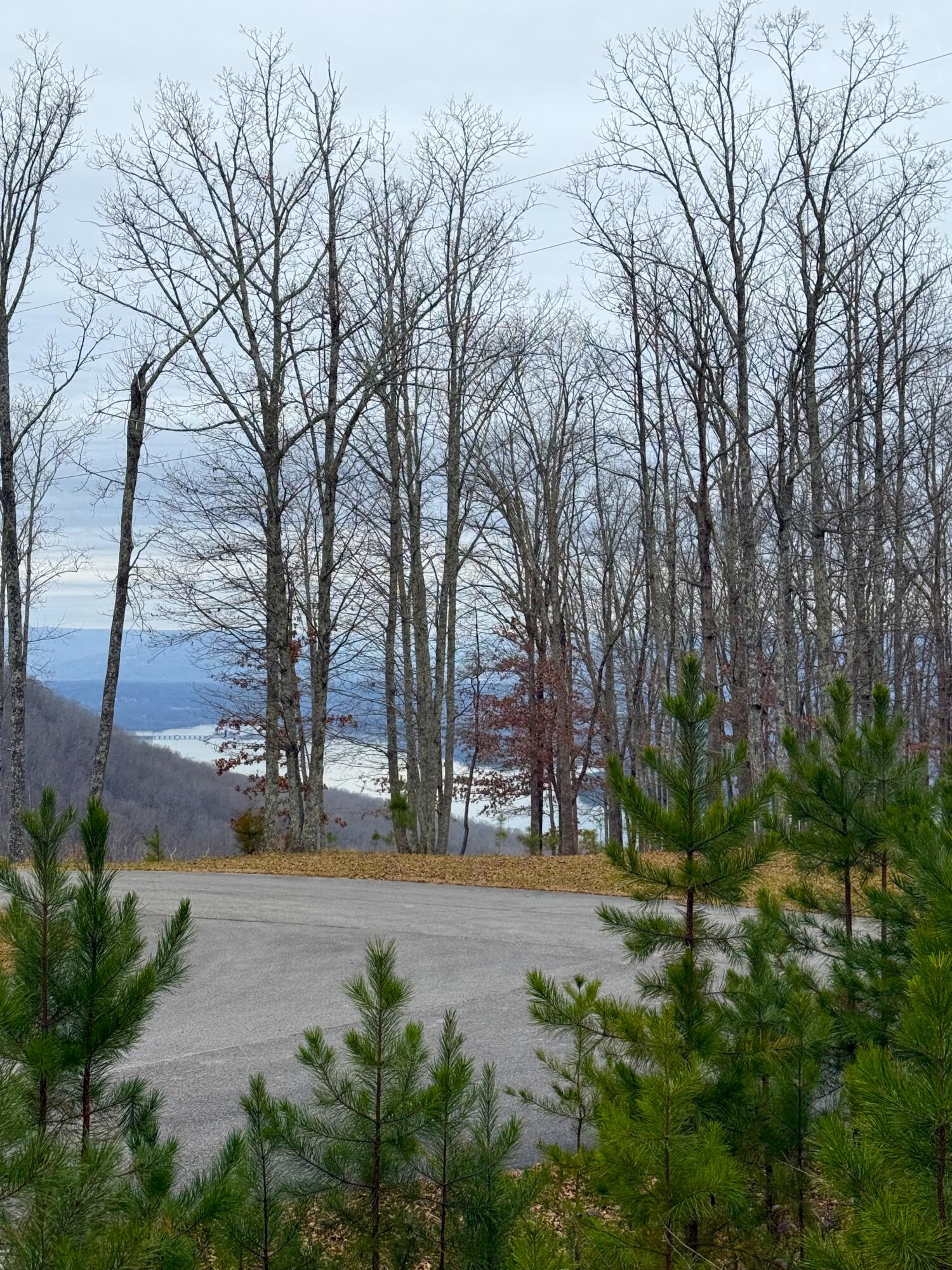 0 Wohalie Lane, Lots 45/45a