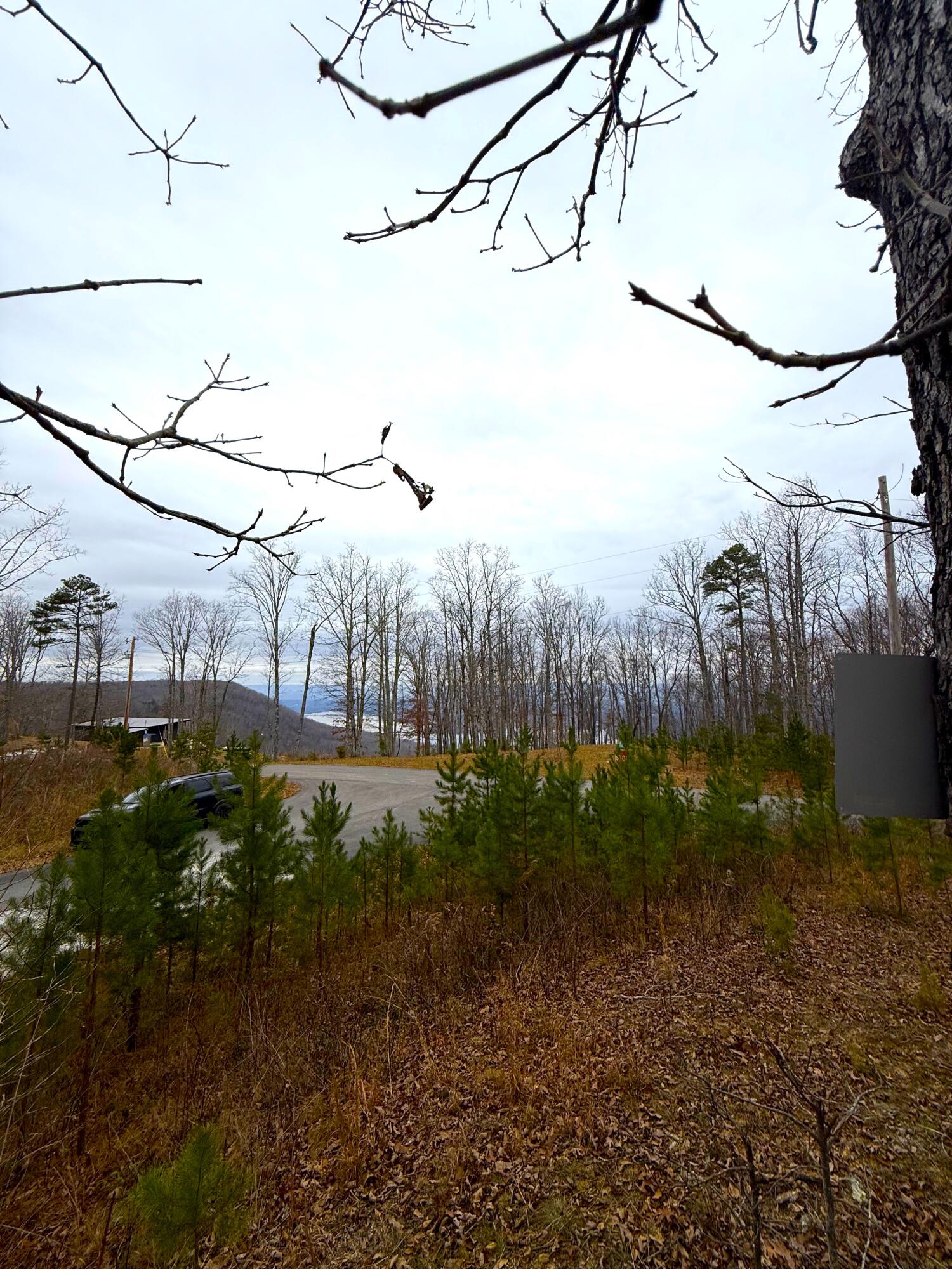 0 Wohalie Lane, Lots 45/45a