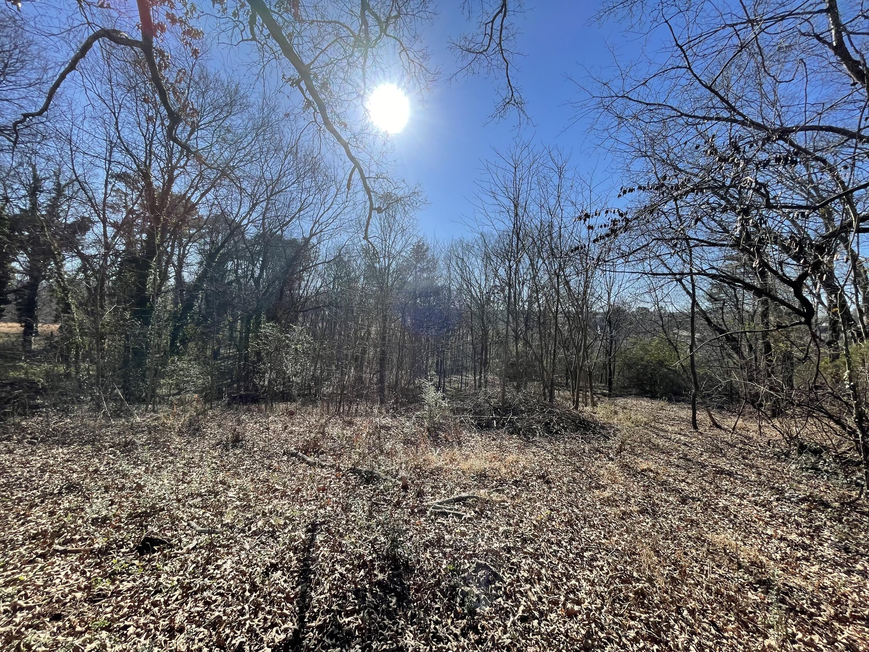 8528 Ooltewah Harrison Road