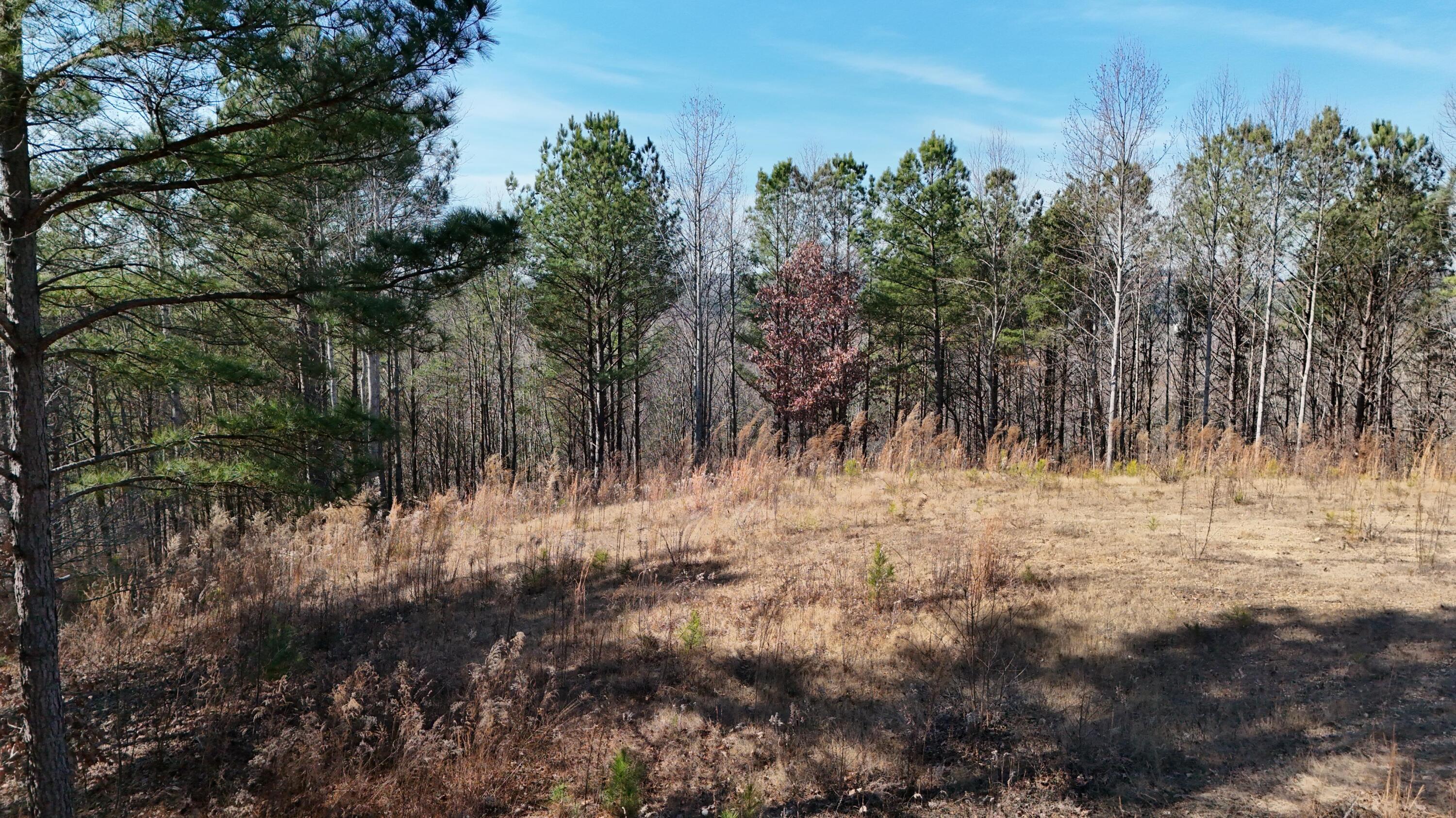 0 Walker Brow Ridge Road NW