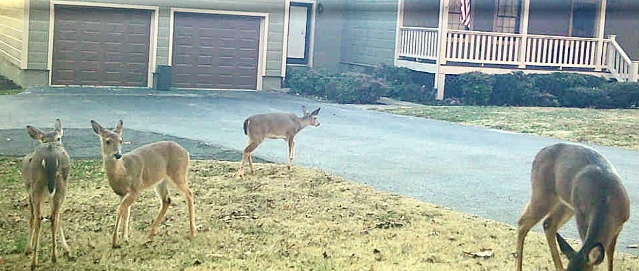 1854 Powder Springs Circle