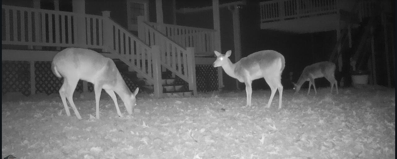 1854 Powder Springs Circle