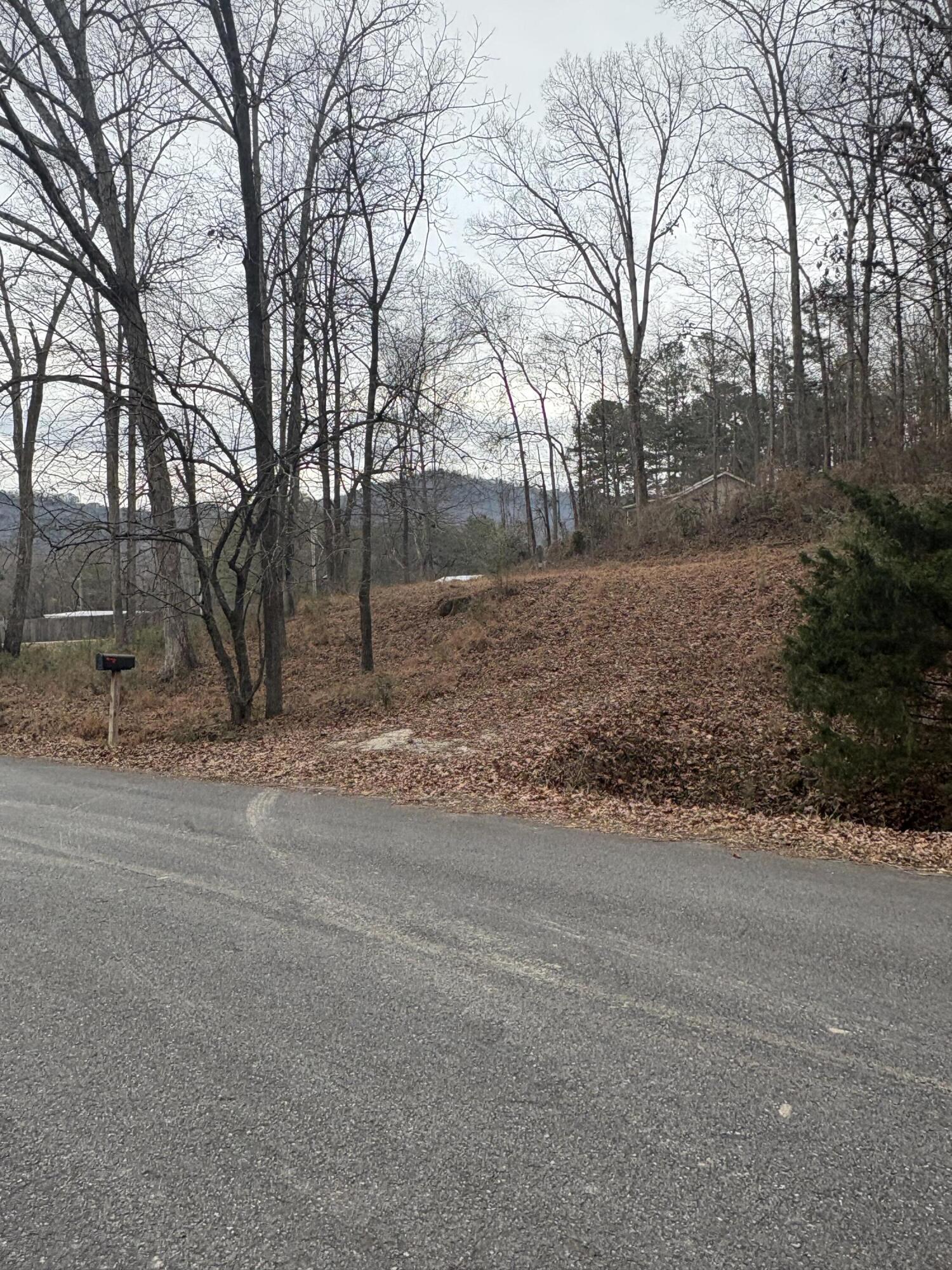 3135 Old Crider Road