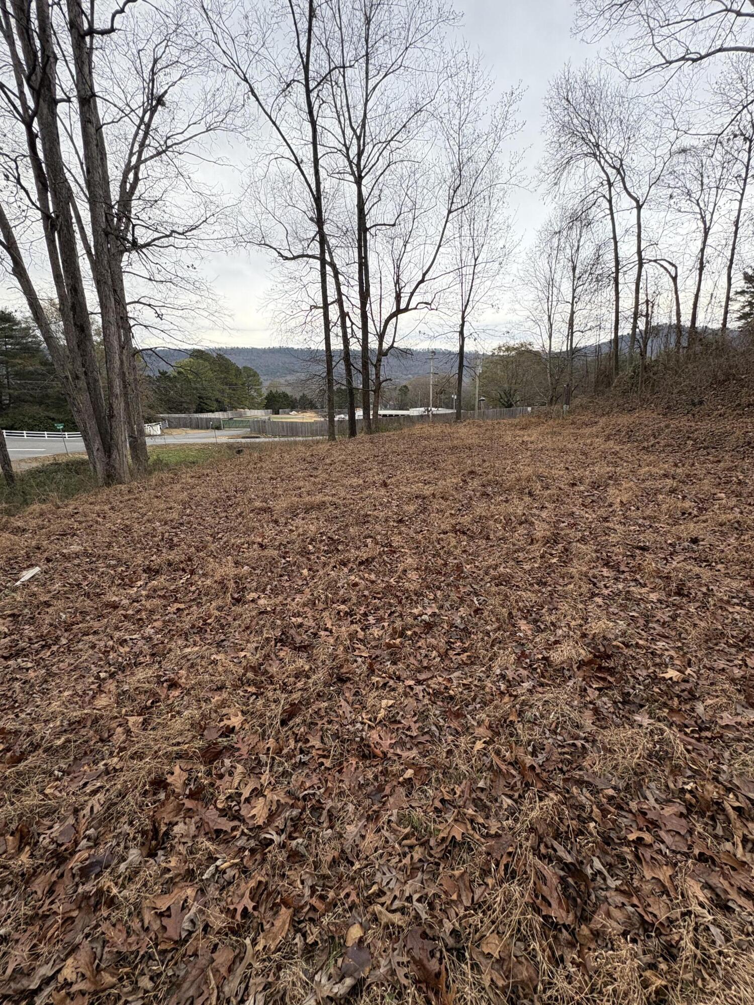 3135 Old Crider Road