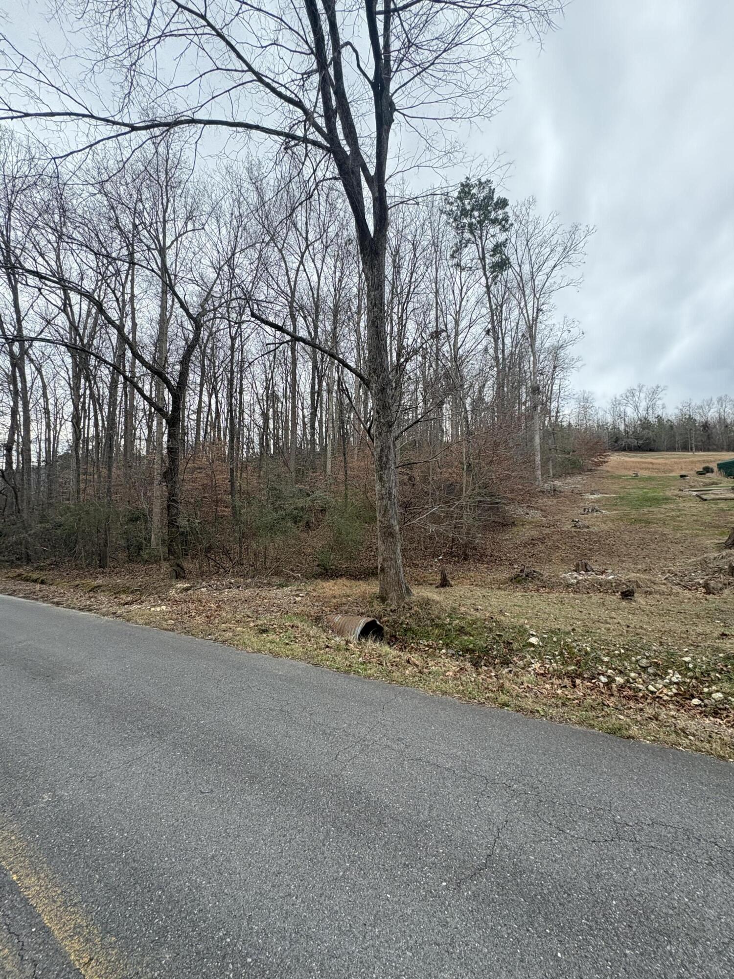 3135 Old Crider Road