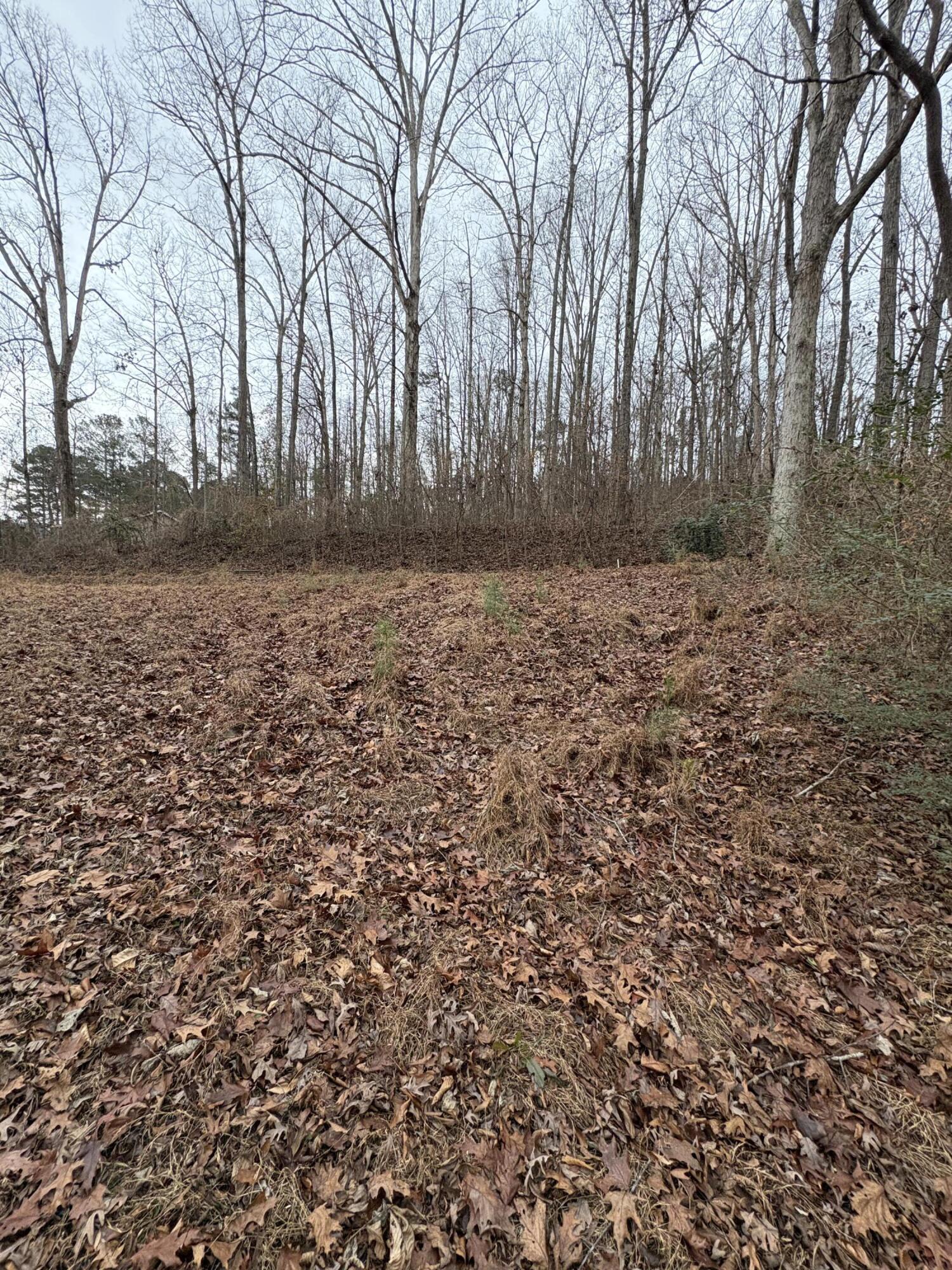 3135 Old Crider Road