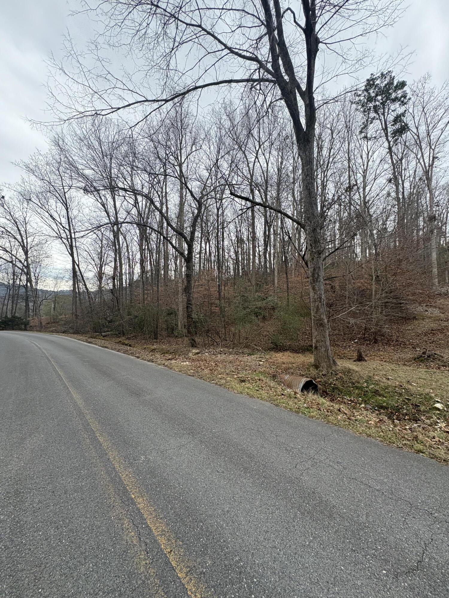 3135 Old Crider Road
