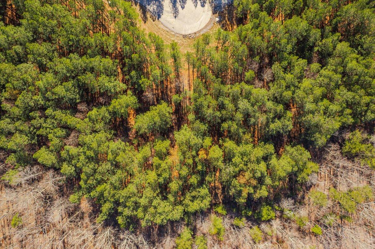 0 Bootleg Dri, Jf 204