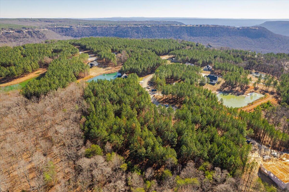 0 Bootleg Dri, Jf 204