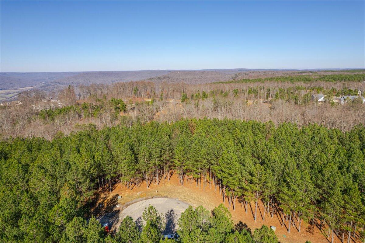 0 Bootleg Dri, Jf 204