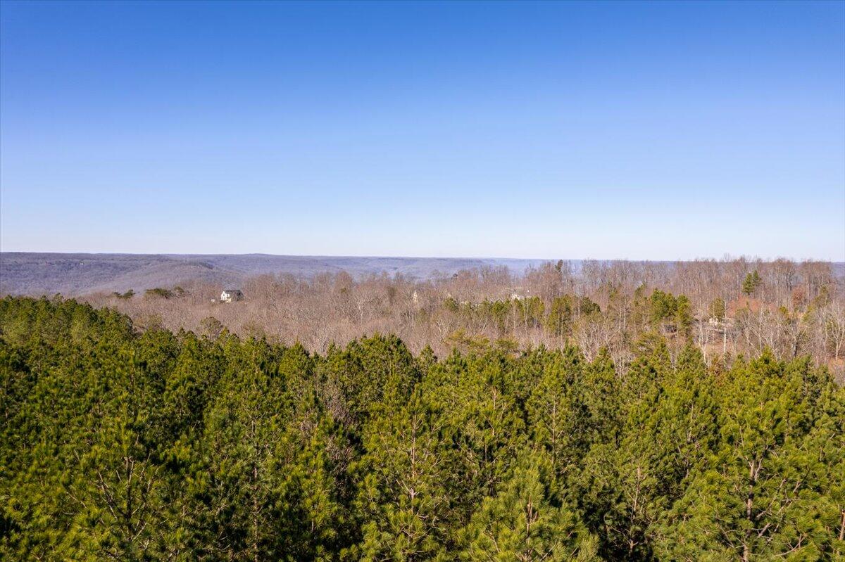 0 Bootleg Dri, Jf 204