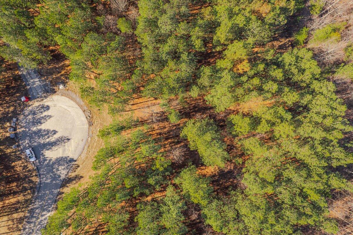 0 Bootleg Dri, Jf 204