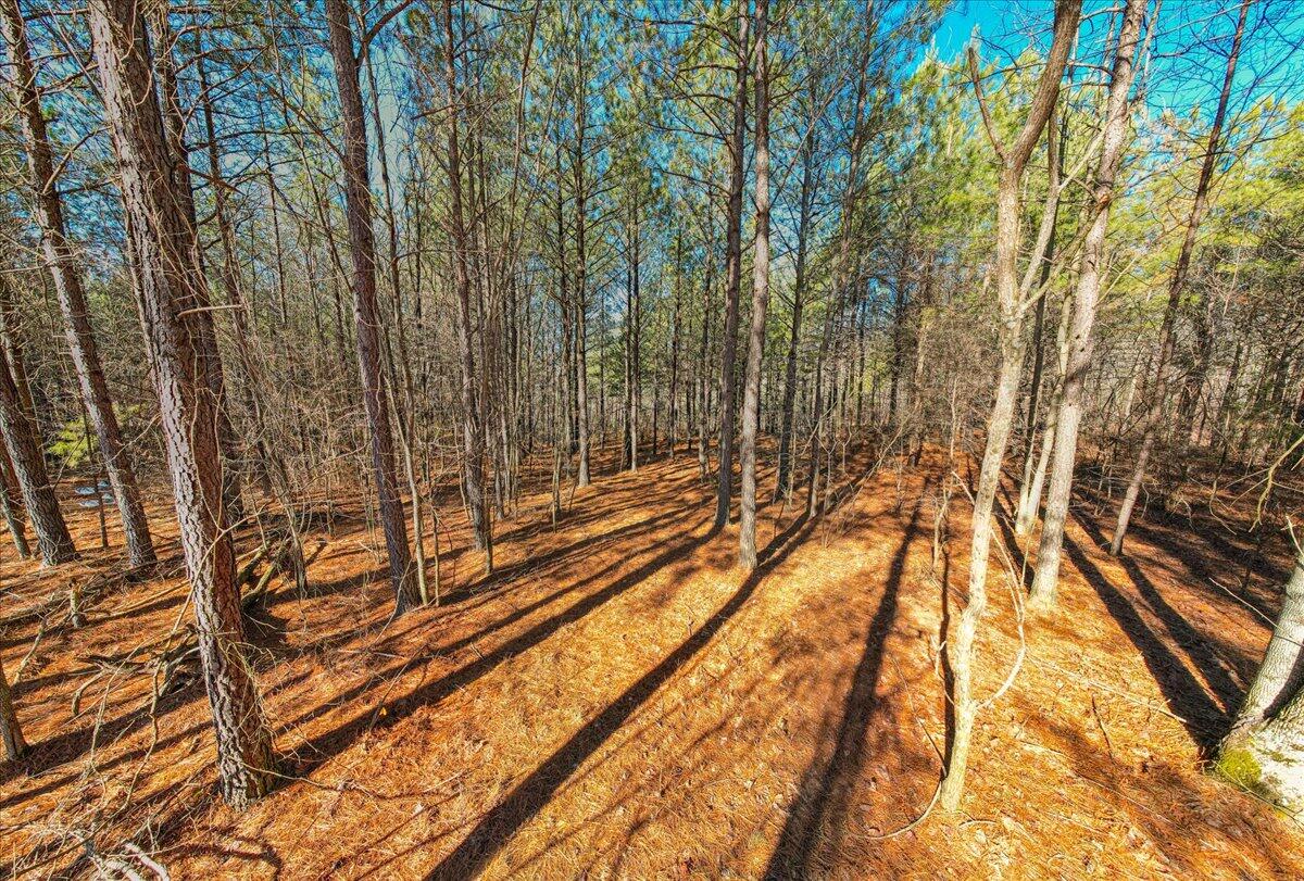 0 Bootleg Dri, Jf 204