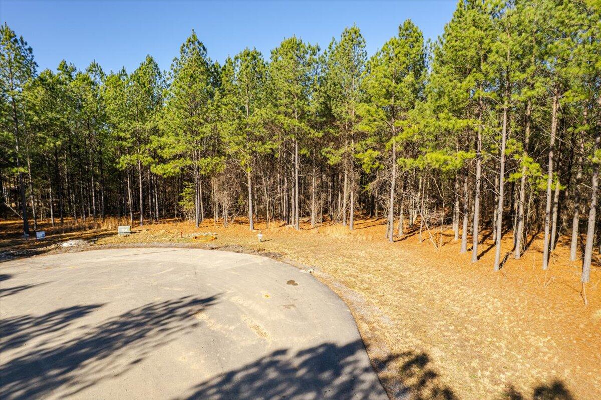 0 Bootleg Dri, Jf 204