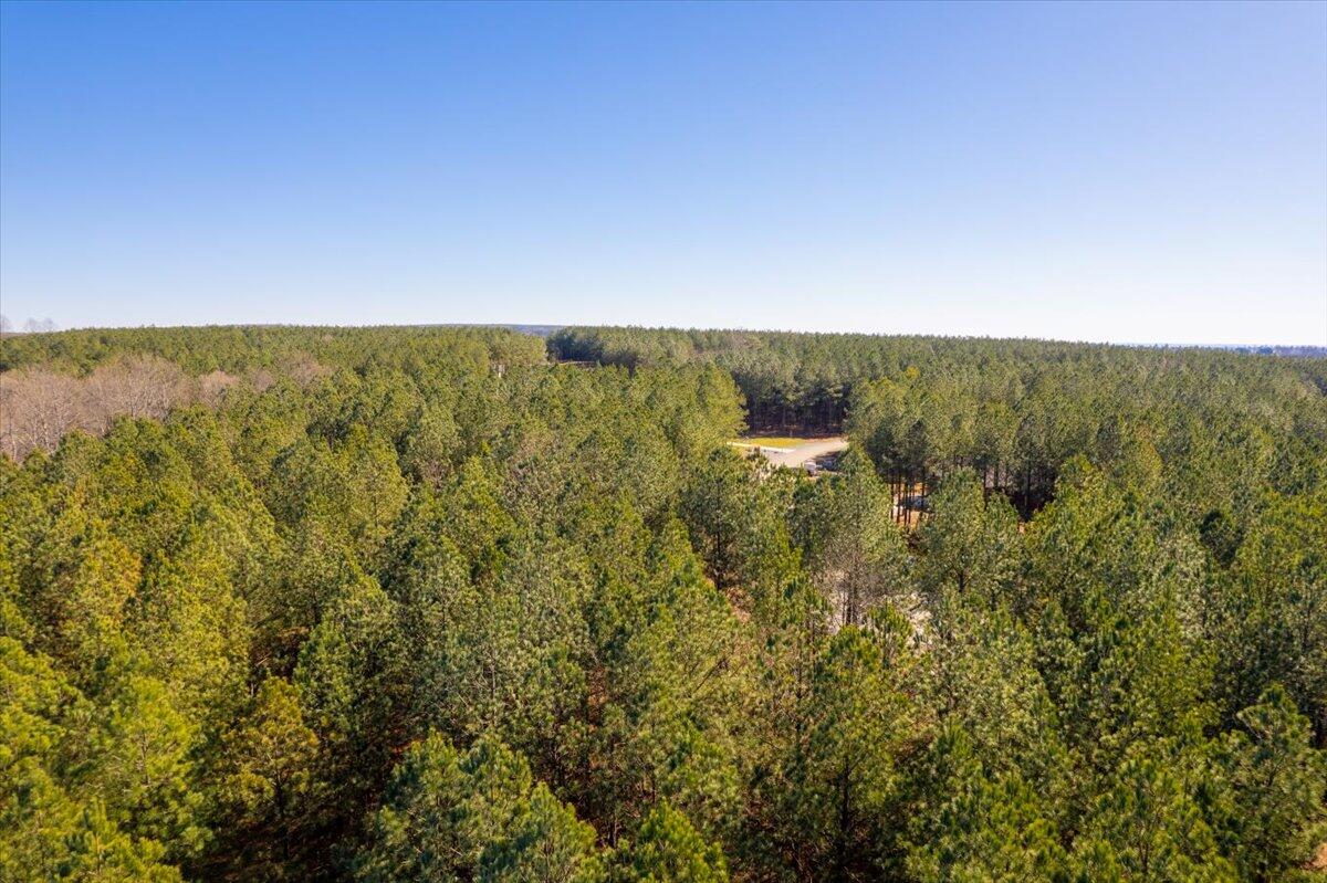 0 Bootleg Dri, Jf 204