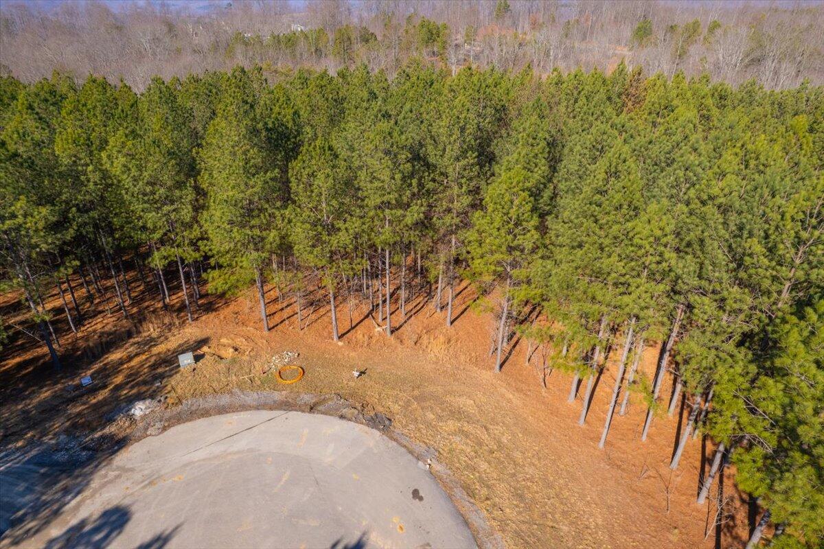 0 Bootleg Dri, Jf 204