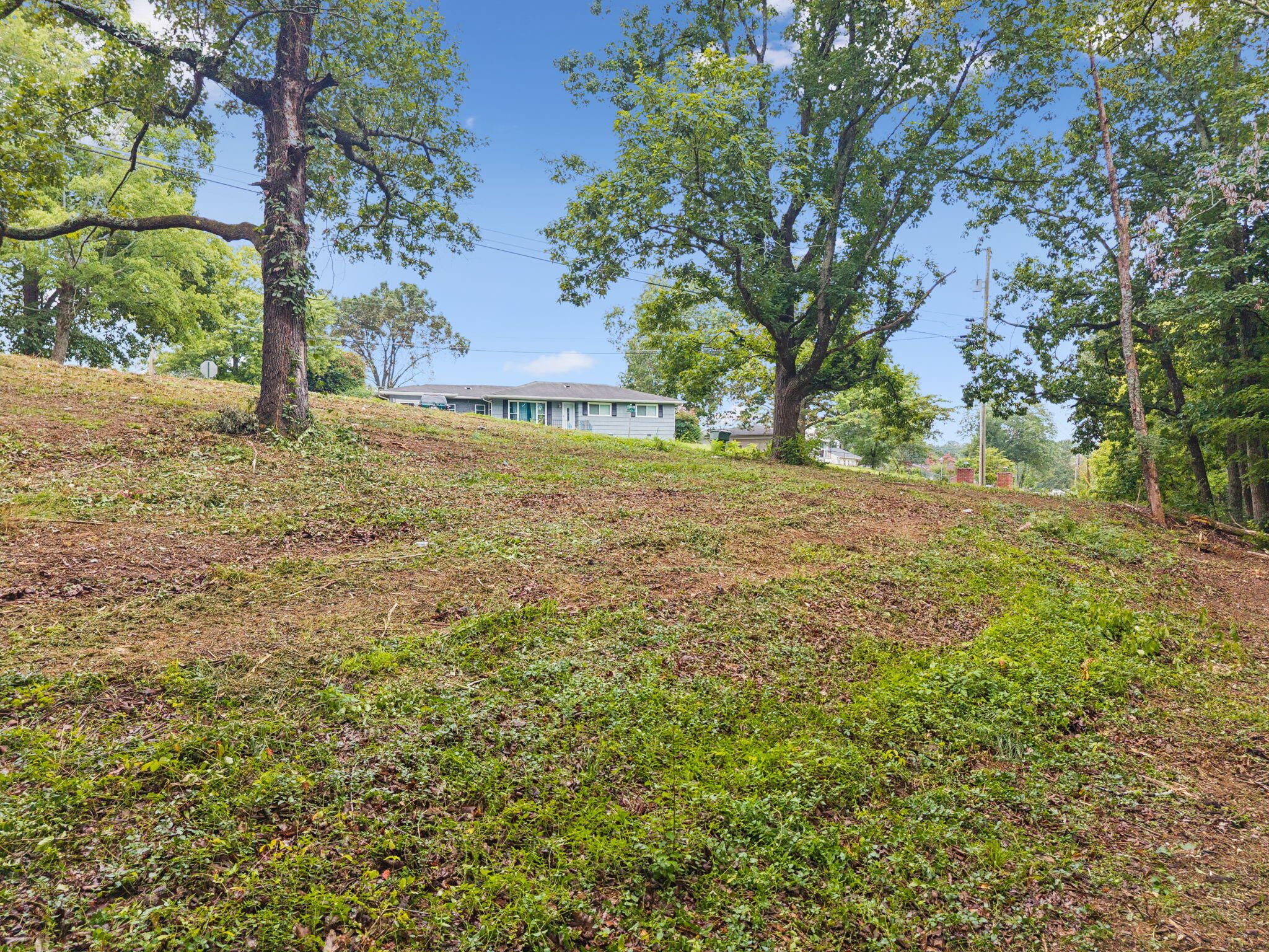 3703 Wauchula Street