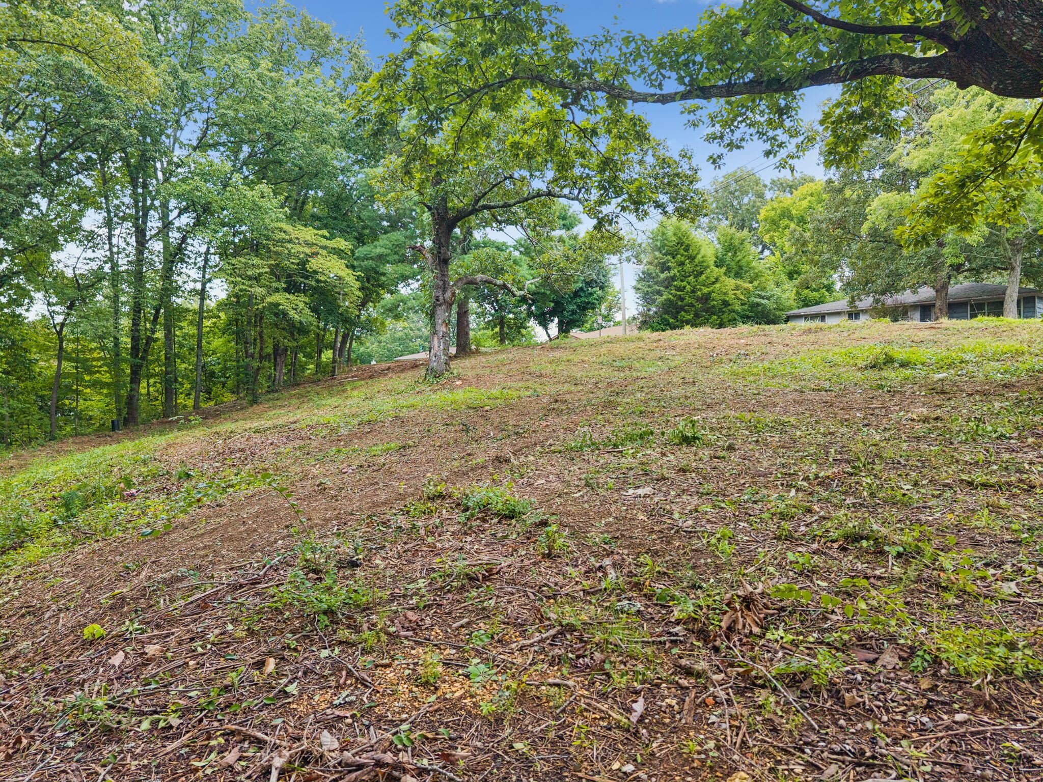 3703 Wauchula Street