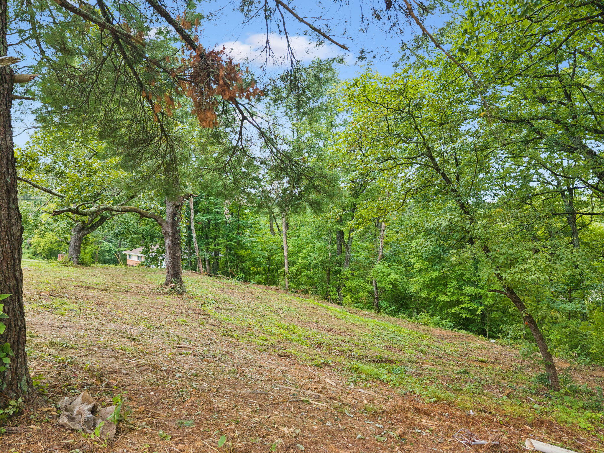 3703 Wauchula Street