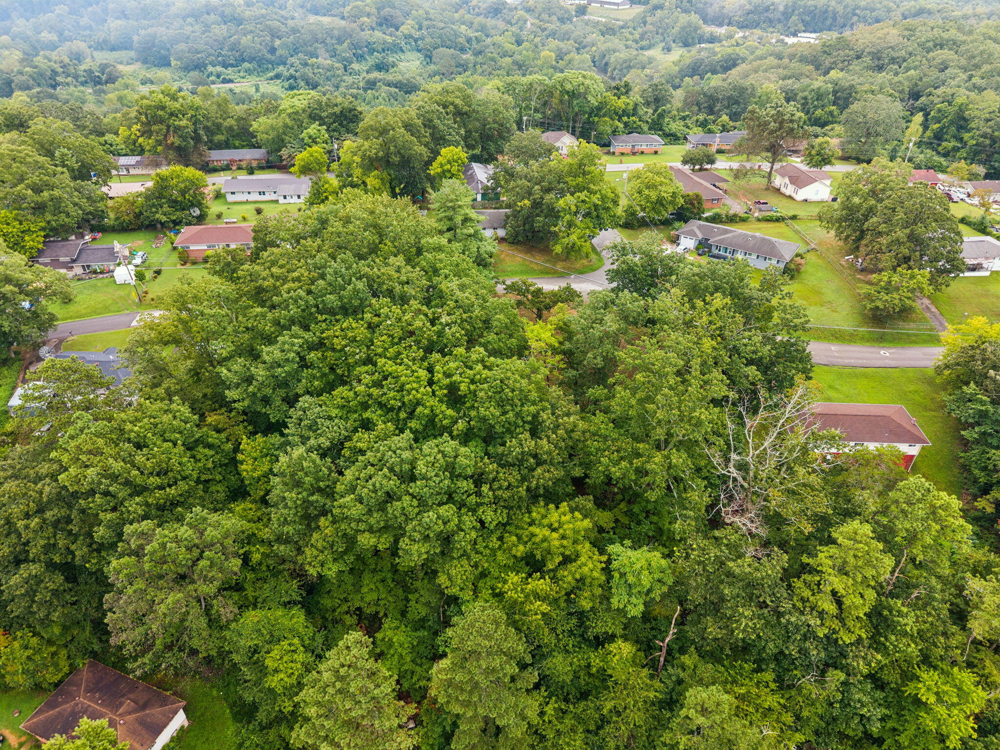 3703 Wauchula Street