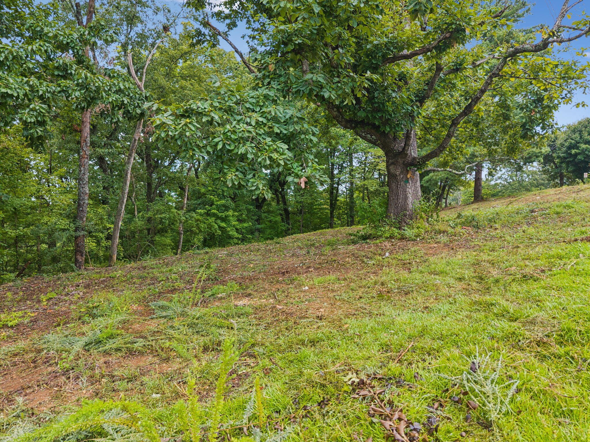 3703 Wauchula Street