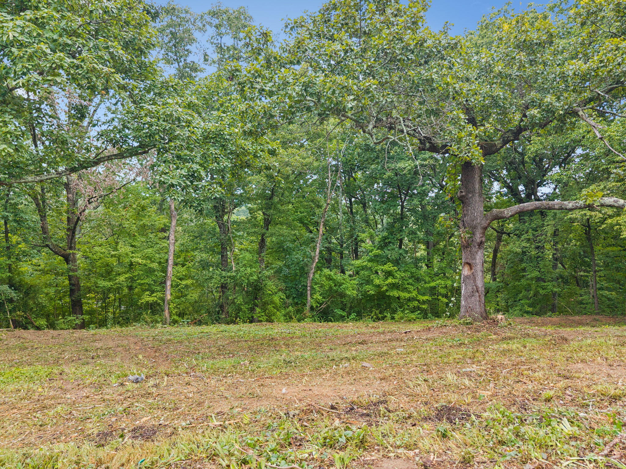 3703 Wauchula Street