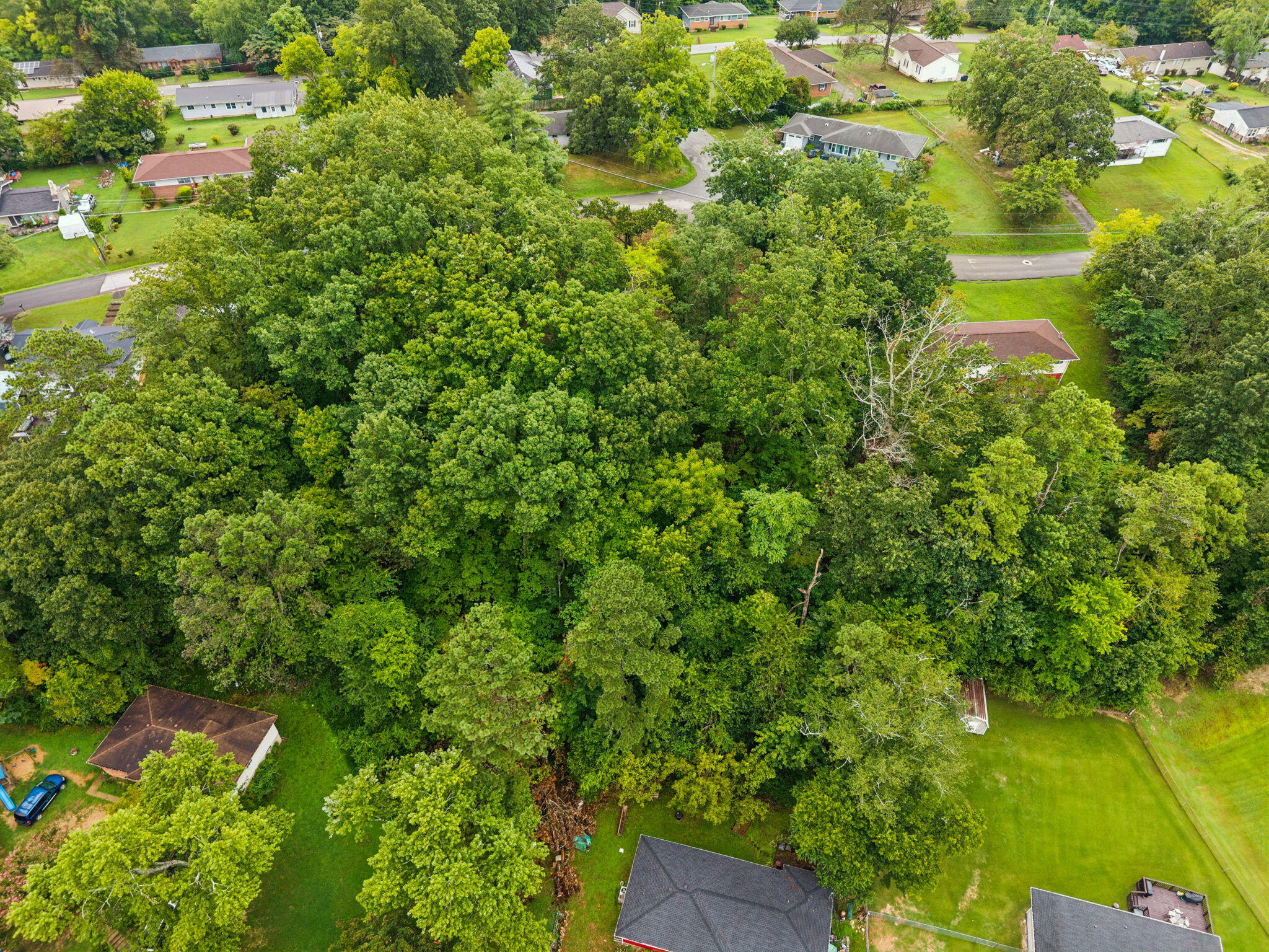 3703 Wauchula Street