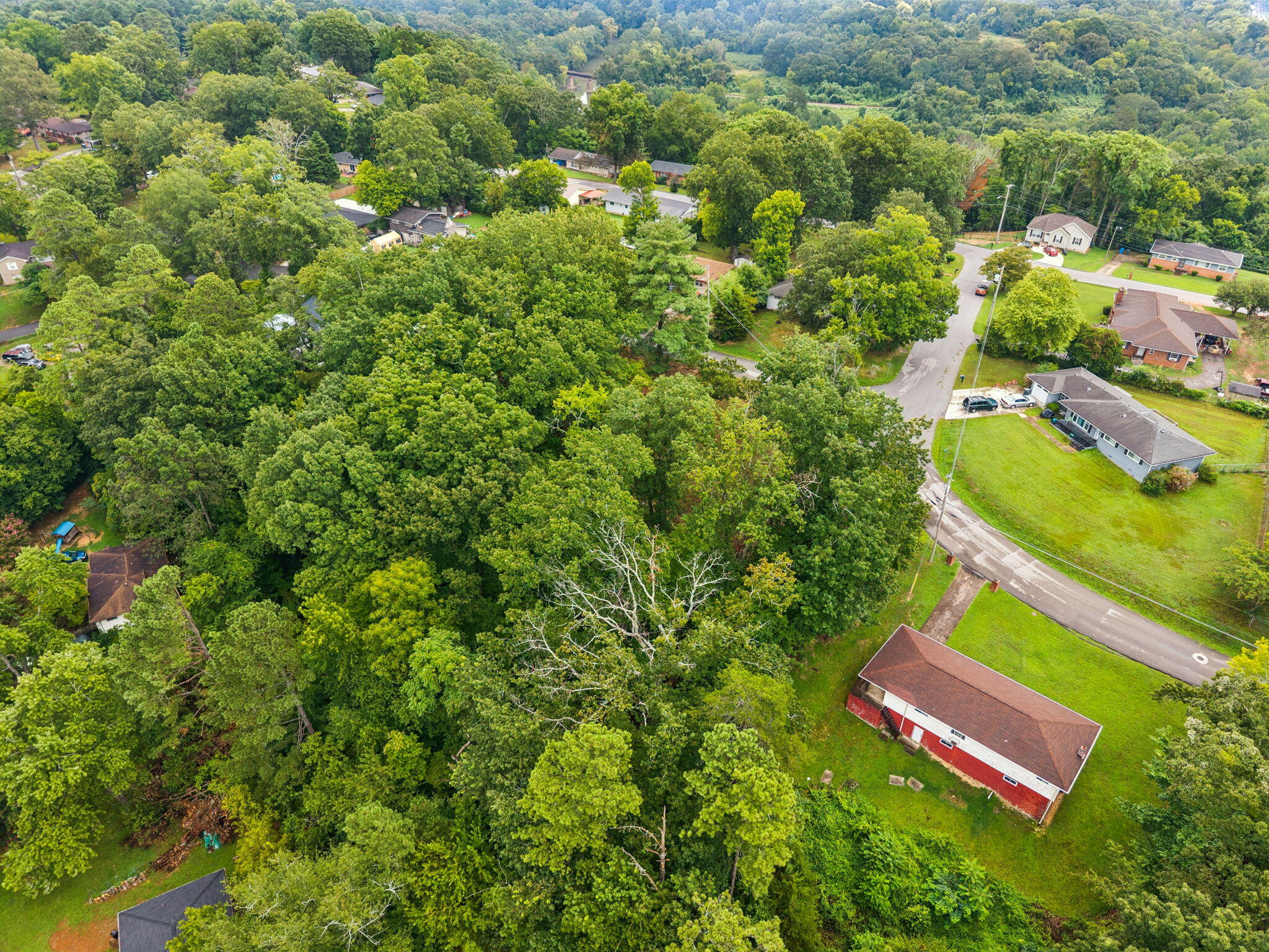 3703 Wauchula Street