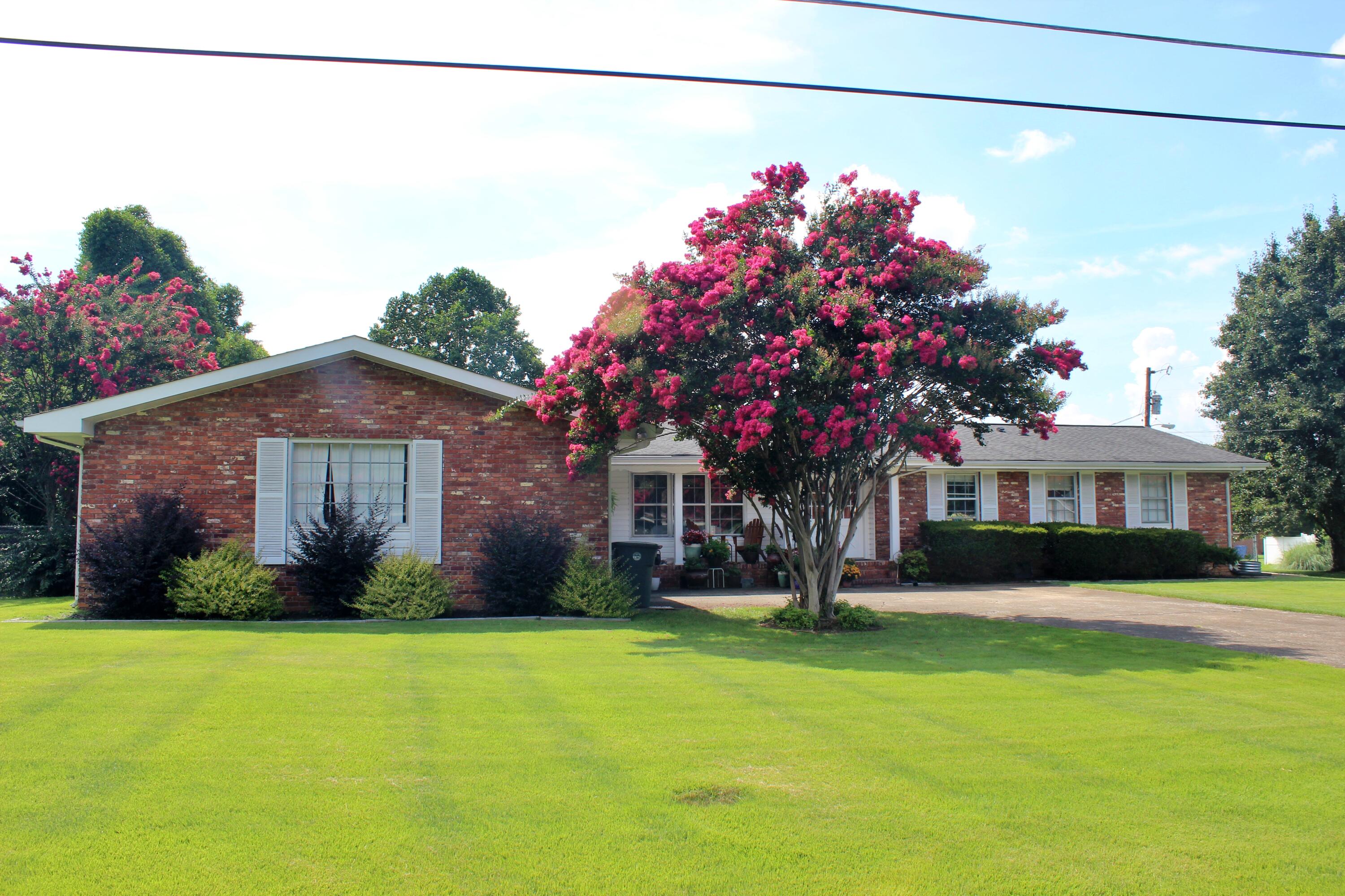 1509 Kippy Drive