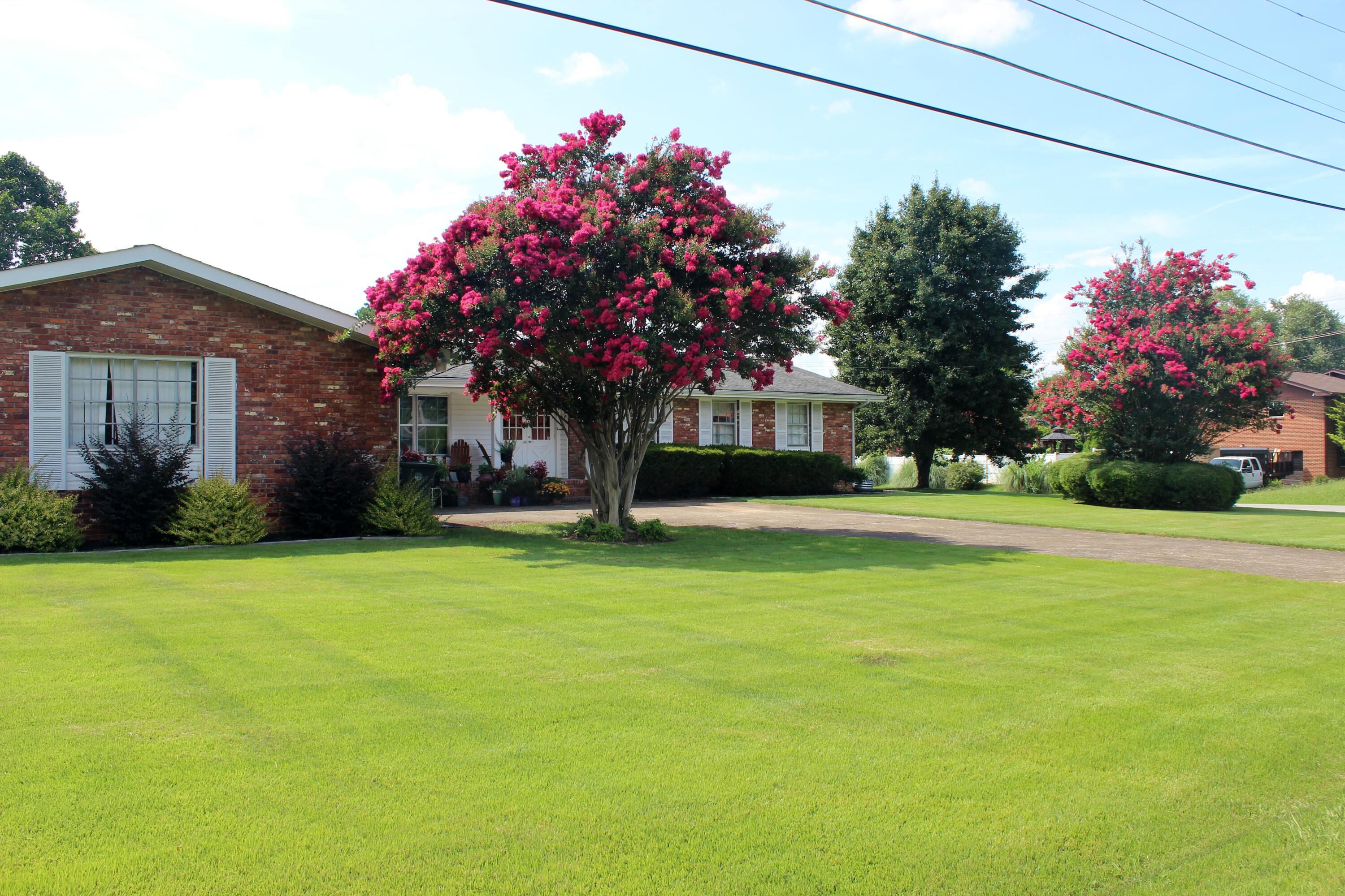 1509 Kippy Drive