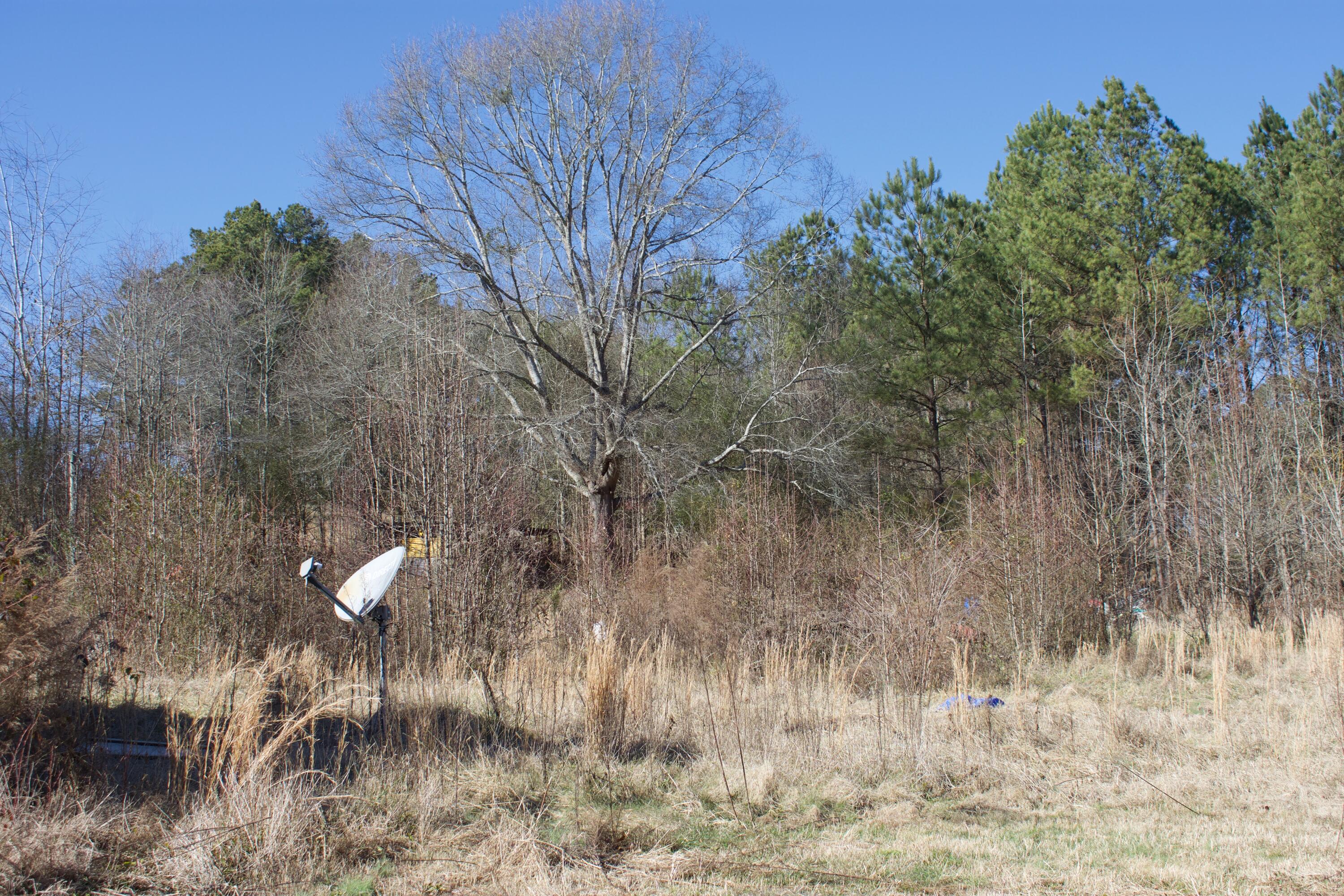 371 Thomas Bluff Road NE