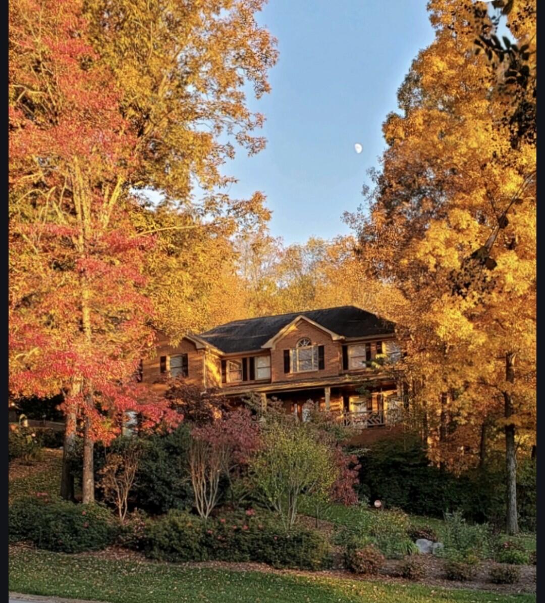 9950 Frost Ridge Drive