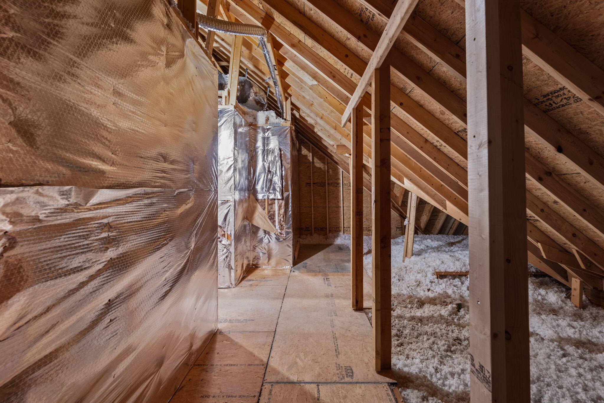 6706 Dharma Loop, 66