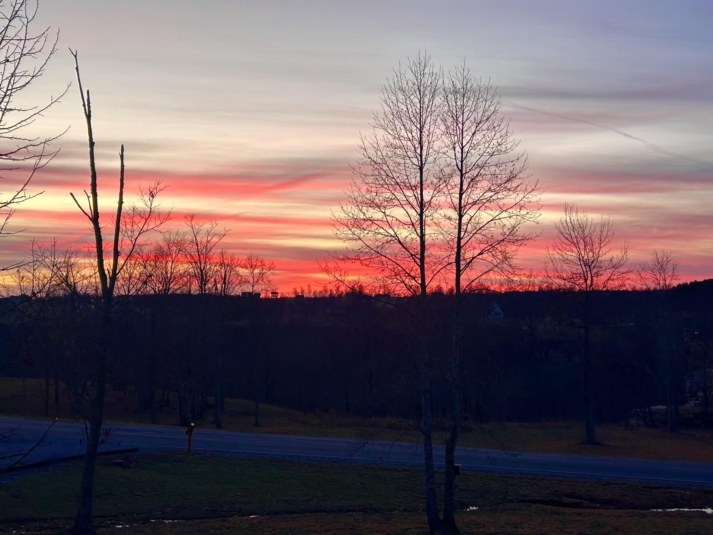 1115 River Bluffs Drive