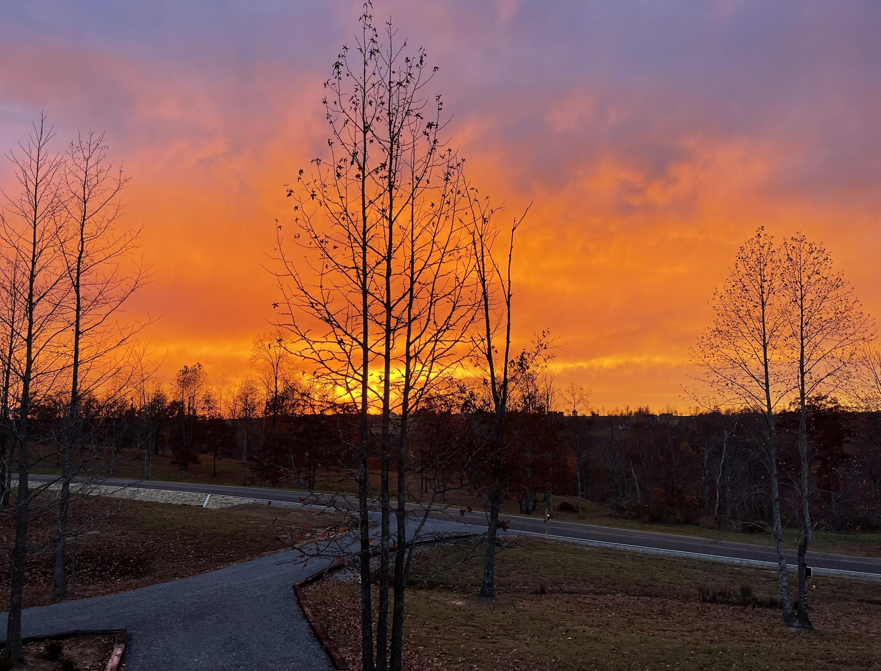 1115 River Bluffs Drive